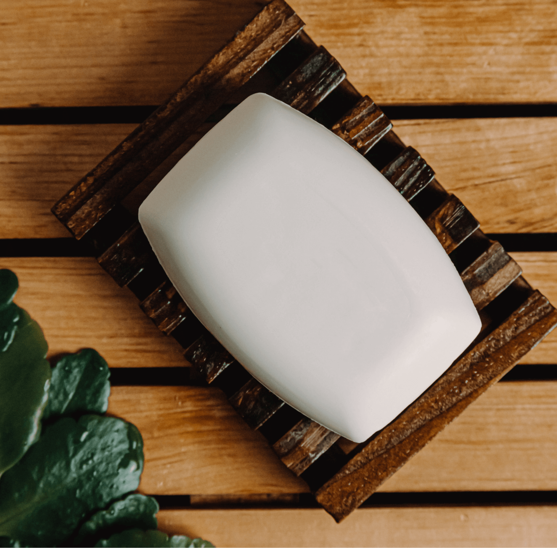 Coconut bar soap